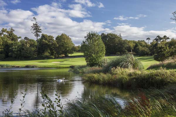 Fota Island fota island golf